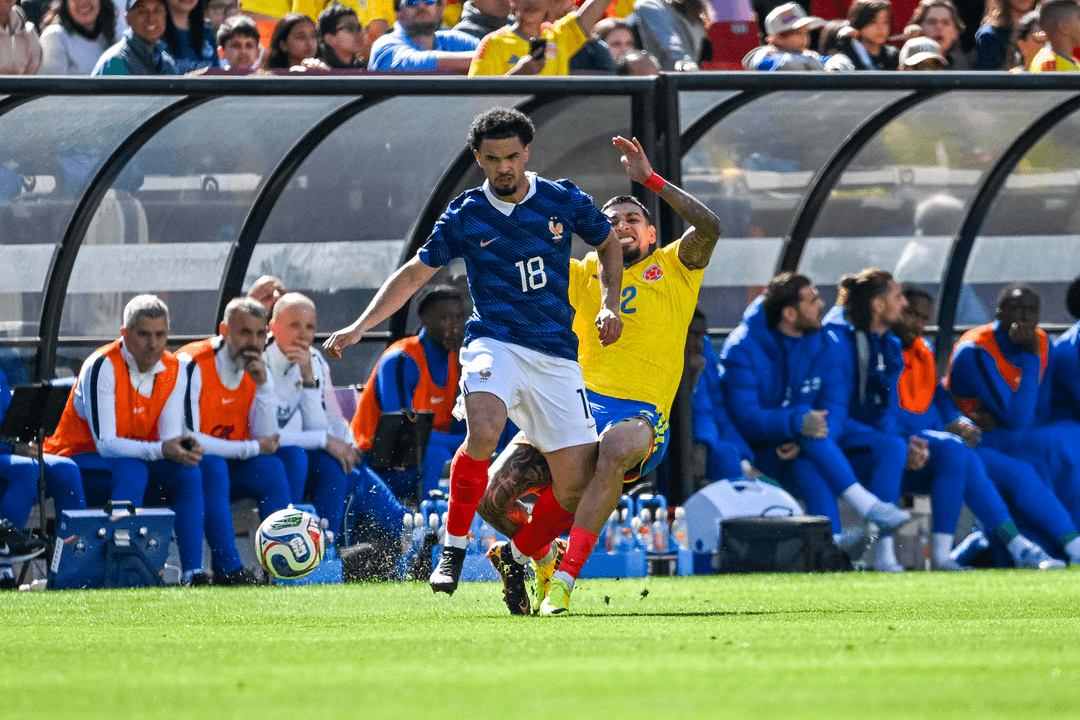 1774818214622 1dad4378 2e09 4f58 9d53 9726393d9392.1080.png