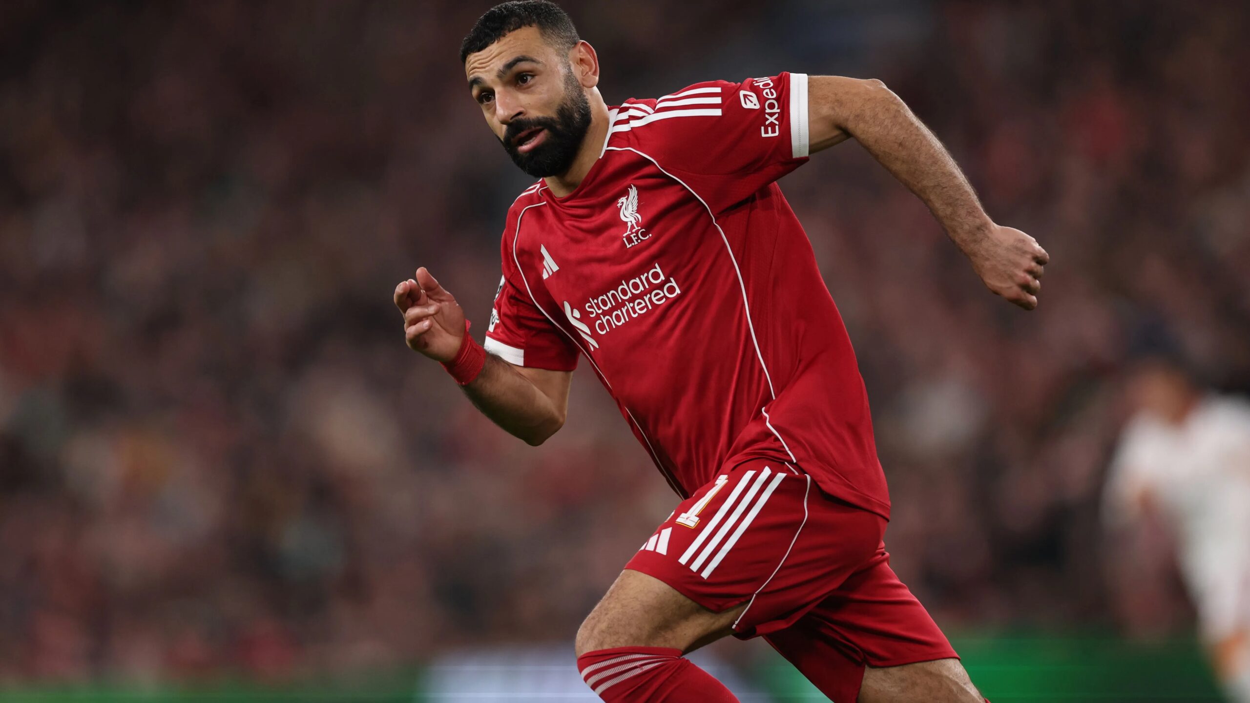 gettyimages 2267361463.jpg