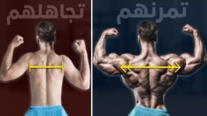 ازاي تبني عضلات طبيعية بدون منشطات - الدليل الكامل للمبتدئين والمتوسطين
