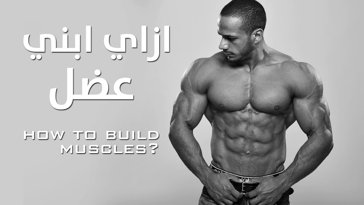 ازاي تبني عضلات طبيعية بدون منشطات - الدليل الكامل للمبتدئين والمتوسطين