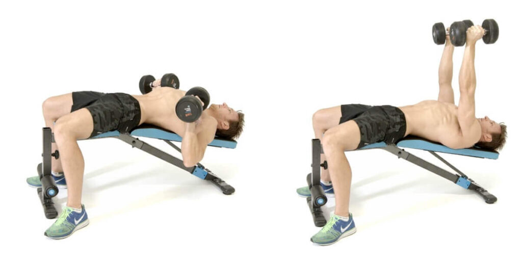 تمرين الضغط (Bench Press) - الدليل الكامل من الصفر للاحتراف